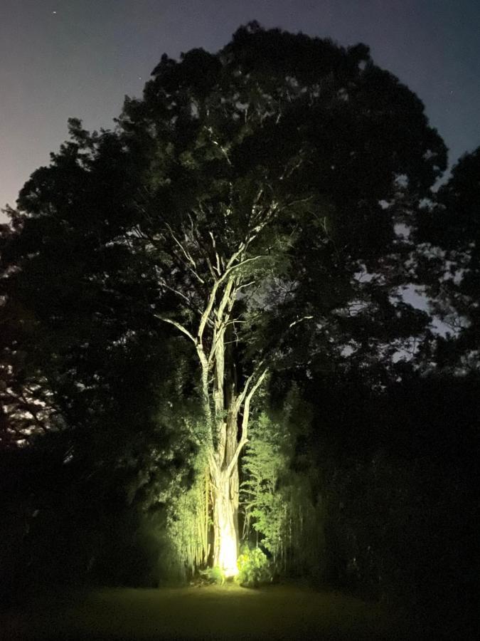 Recanto Da Floresta - Casa De Campo Em Secretario Petrópolis Dış mekan fotoğraf