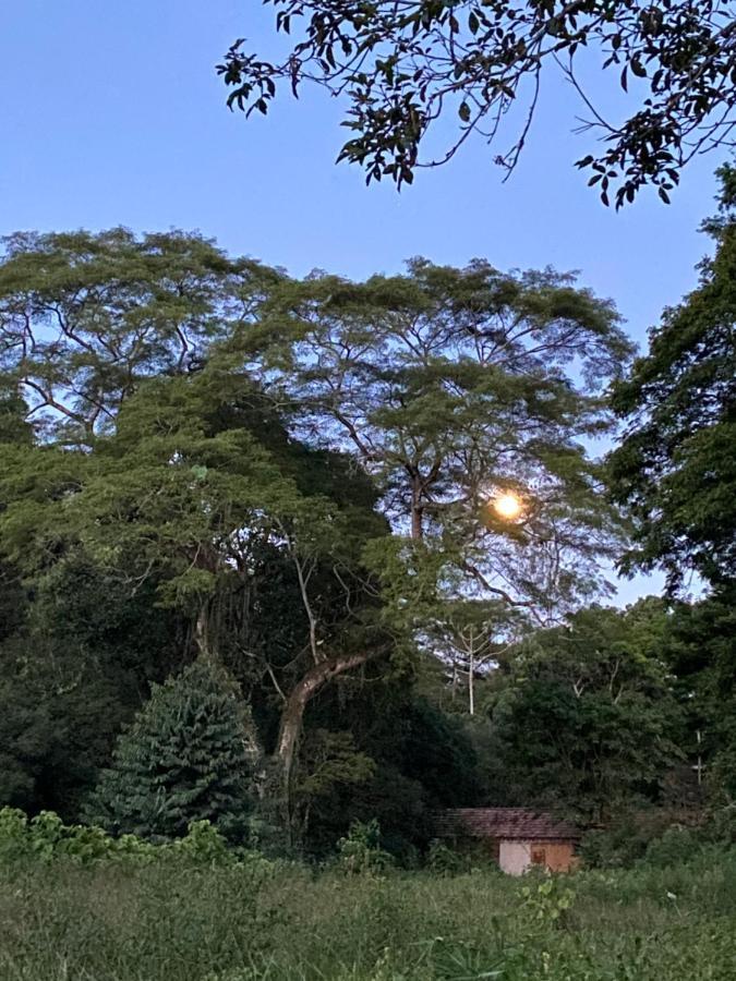 Recanto Da Floresta - Casa De Campo Em Secretario Petrópolis Dış mekan fotoğraf