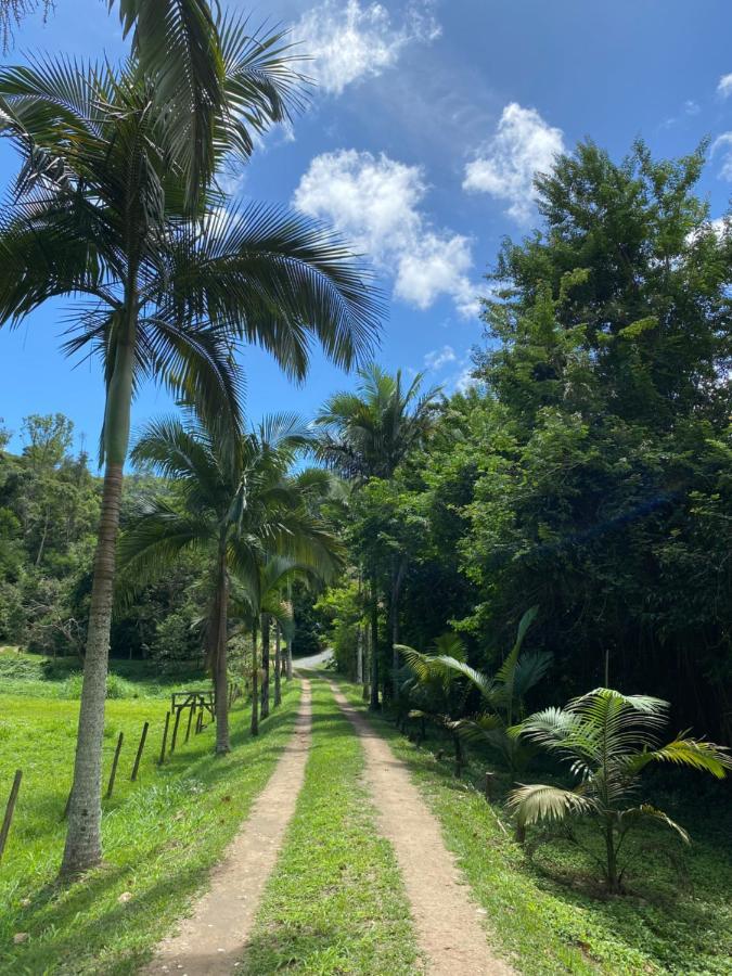 Recanto Da Floresta - Casa De Campo Em Secretario Petrópolis Dış mekan fotoğraf